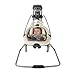 Graco DuetSoothe Swing and Rocker, Winslet