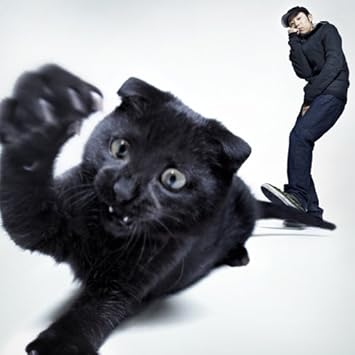 あっちとこっち Amazon Co Jp