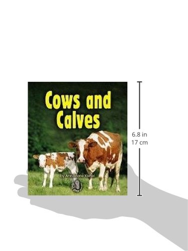 Cows and Calves (First Step Nonfiction _ Animal Families)