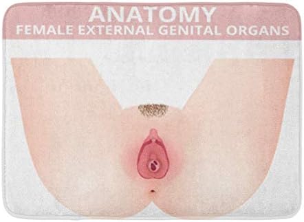 Puyrtdfs Doormats Bath Rugs Outdoor/Indoor Door Mat Organ The Structure of Female External Genitalia Medical Anatomy Vagina Anus Body Bathroom Decor Rug 16" x 24"