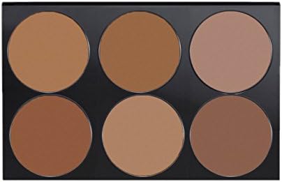 AVAS Prefect Touch Total Coverage Foundation Palette