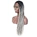 BLUPLE Micro Braided 1b Ombre to Grey Synthetic Lace Front Wigs Fully Hand Tied Heat Resistant Hair Braiding Styles Fiber Hand Braided Wig for Black Women (24 Inch, Micro Braided,#1B/Grey)
