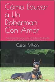 Cómo Educar a Un Doberman Con Amor: Adiestramiento Canino de Un Doberman Basado en el Vínculo Afectivo Que Tienes Con Él