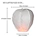 20 PCS Sky Lanterns Paper Lanterns Chinese Wishing Lantern For Birthday Wedding Party