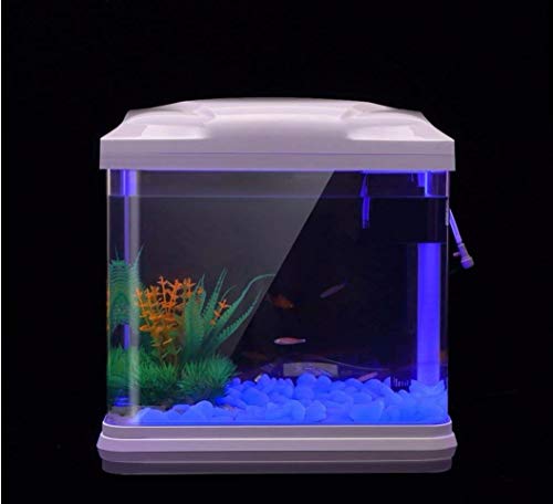 1 Oubest+Pebbles+Aquarium+Walkway+Driveway