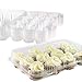 Chefible 12 Mini Cupcake Container, Cupcake Box - Set of 10