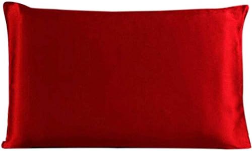 Savena Both Sides 22 Momme Mulberry Silk Pillowcase Benefit to Sleeping Soft Hypoallergenic Avoid Hair Falling Noble Design with Hidden Zipper 100% Natural Silk(Queen(20"x30")Purplish Red)