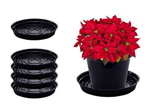 Curtis Wagner Plastics Plant Tray Drip Pan Saucers (5-pack) – Black, Round (Diameter = 25″ top, 23″ bottom, 3.75″ depth) Thin Plastic for Indoor or Garden – Clear, Black & Terracotta Floor Savers