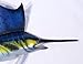 XL Handpainted Sailfish Wall Plaque 18