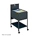 SAF5363GR - Safco Extra-Deep Locking Mobile Tub File