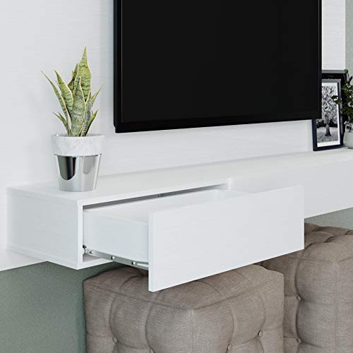 Naomi Home Bliss Modern Freestanding Wall Mounted Entertainment Center