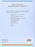 Image de Anatomia del caballo/ Functional Anotomy (Guias ecuestres ilustradas / Illustrated Equestrian Guides) (Spanish Edition)