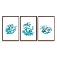 3 Piece Framed Canvas Wall Art Simple Seabed Elements Canvas Prints Home Artwork Decoration for Living Room,Bedroom - 16