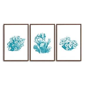 3 Piece Framed Canvas Wall Art Simple Seabed Elements Canvas Prints Home Artwork Decoration for Living Room,Bedroom - 16"x24"x3 Panels