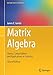 Matrix Algebra: Theory, Computations and Applications in Statistics (Springer Texts in Statistics)