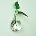 Waterdrop Shape Glass Wall Hanging Flower Vase Plant Bottle Home Decor