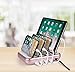 Merkury Innovations 4.8 Amp 4-Port USB Charging Station Fast Charge Docking Station for Multiple Devices - Multi Device Charger Organizer - Compatible w Apple iPad iPhone and Android,White/Rose Gold