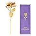 ZJchao Gold Foil Rose Flowers 10