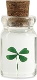 Bottle O' Luck - 4 Leaf Clover in a Bottle from