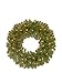National Tree Company Pre-Lit Artificial Christmas Wreath, Green, North Valley Spruce, White Lights, Christmas Collection, 24 Inches, NRV7-300D-24WB1