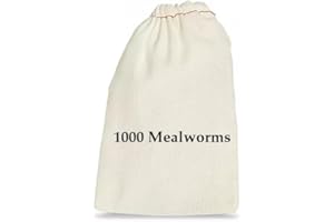 BASSETT'S CRICKET RANCH 1000 Mealworms - Worms for Reptiles and Birds