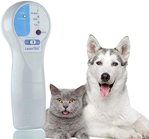 dog laser therapy at home