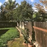 kitty corral cat fence system