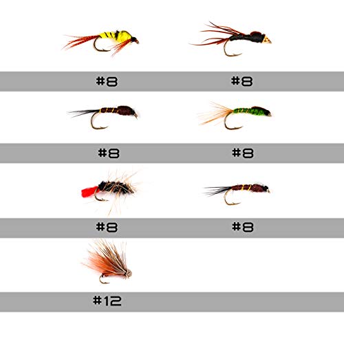 image for M MAXIMUMCATCH Maxcatch Fly Fishing Flies Kit Fly Assortment Dry/Wet F