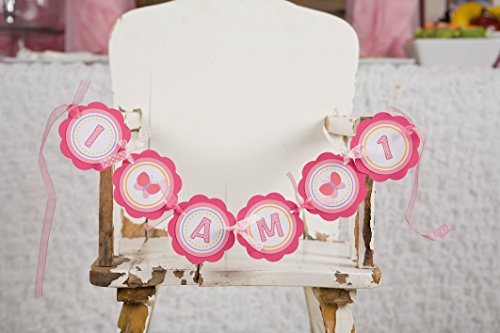 Butterfly High Chair Banner - "I am 1" Birthday Banner - 1st Birthday