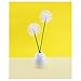 Q-tips Cotton Swabs, 500 ct