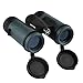 Wingspan Optics TrailBreaker 8X32 Compact Binoculars for Bird Watching. Durable and Lightweight for the Nature Lover on the Go. For Bird Watching, Watching Sports Games and Concerts. Waterproof.
