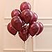 Latex Balloons, 100-Pack, 12-Inch Burgundy(Burgundy)