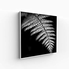 Canvas Wall Art for Living Room, Bedroom Monochrome Image Framed Canvas Prints for Home Decoration Ready to Hang - 16x16 inches