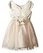 ZUNIE Girls' Brocade Mesh Ballerina Dress with Bow