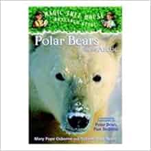 Polar bears past bedtime read aloud picture