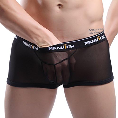 Men's Boxers Briefs See-through Mesh Underwear (L, Black(1Pack))