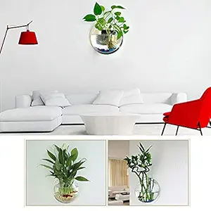 Ubersweet? Imported Home Decoration Wall Mount Fish Tanks Goldfish Bowl Acrylic Hanging Aquariums Flowerpot Flower Vase_124469