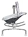 Graco Duet Sway Baby Swing with Portable Rocker, Maxton
