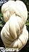 By the Pound Natural White Wool Roving, Roving, Spin Fiber, Roving Wool, Wool for Felting, Wool for Spinning, Spin Wool, Roving 1lb