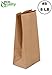 EcoQuality 500 Brown Kraft Paper Bag (8 lb) Small - Paper Lunch Bags, Small Snacks, Gift Bags, Grocery, Merchandise, Party Bags (6 1/8