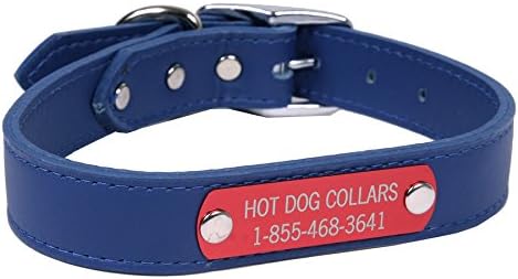 hotdog dog collar