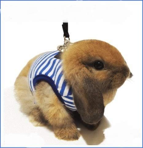 レインボー うさぎのハーネスランランハーネス ブルー Mサイズ ブルー Rdeeipe Net