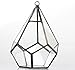 NCYP Mini Wall Hanging Glass Terrarium, 4.5 x 4.5 x 5.3 inches Diamond Shape Geometric Terrarium for Succulent Plant, Desktop Decor, Mini Centerpiece, Modern (Plants Not Included)