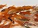 Toledo Goldfish Live Comet Common Feeder Goldfish for Ponds, Aquariums or Tanks – USA Born and Raised – Live Arrival Guarantee (Small .75 to 1.5 inches, 10 Fish)thumb 3