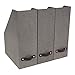 Bigso Box of Sweden Estelle Canvas Fiberboard Upright Magazine Storage Box Organizer for Papers & Catalogs w/Leather Handle | Magazine File Holder for Office Desks | 12.6