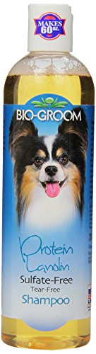 Bio-Groom DBB20012 Protein Lanolin Tearless Concentrate Small Pet Shampoo, 12-Ounce