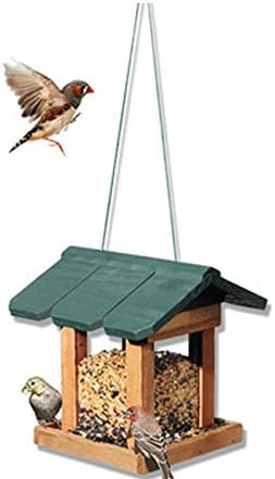 野鳥の餌台 エサの容量を簡単把握 激安超特価 家電 カメラ 正規品送料無料 車 バイク Size 大型家電 Green 屋外パティオ鳥表無料立ち 簡単クリーニング リフィル伝統木造全天候バードフィーダーハウスデザインハンギングデコレーション用 野鳥 Size B084rgr1lf