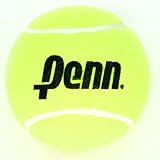 Penn 4" Mini Jumbo Tennis Ball