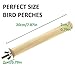 MwaBaiTx Natural Parrot Perch Set, Bird Chewing Toys Bird Perch Bird Stand Bird Cage Accessories (Type 4)thumb 2