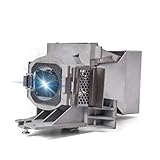 AWO Original Projector Lamp Bulb 5J.JEE05.001 with